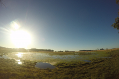 DCIM102GOPROGOPR3197.